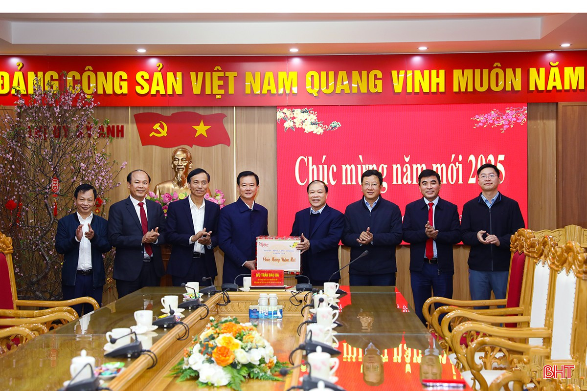 Dịp này, Phó Chủ tịch UBND tỉnh Trần Báu Hà cùng đoàn đã đến chúc mừng TX Kỳ Anh nhân dịp xuân mới và chào mừng kỷ niệm 95 năm Ngày thành lập Đảng.