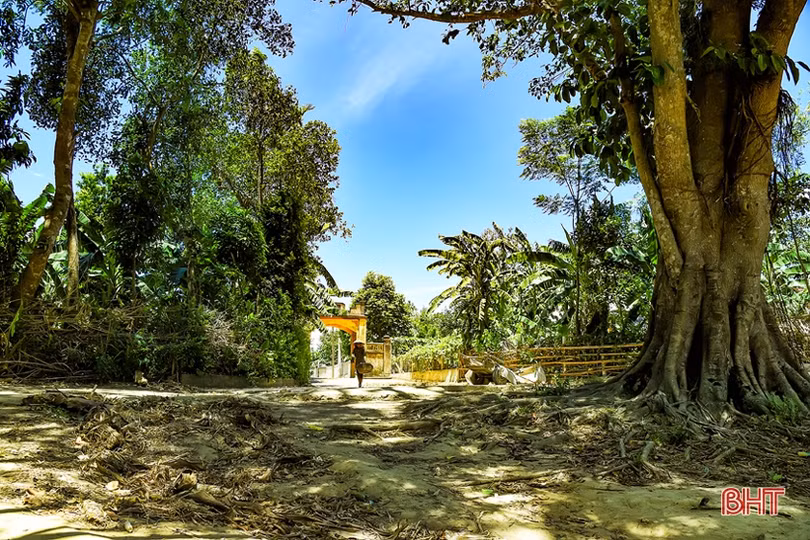 Về vùng Núi Thơm Hà Tĩnh