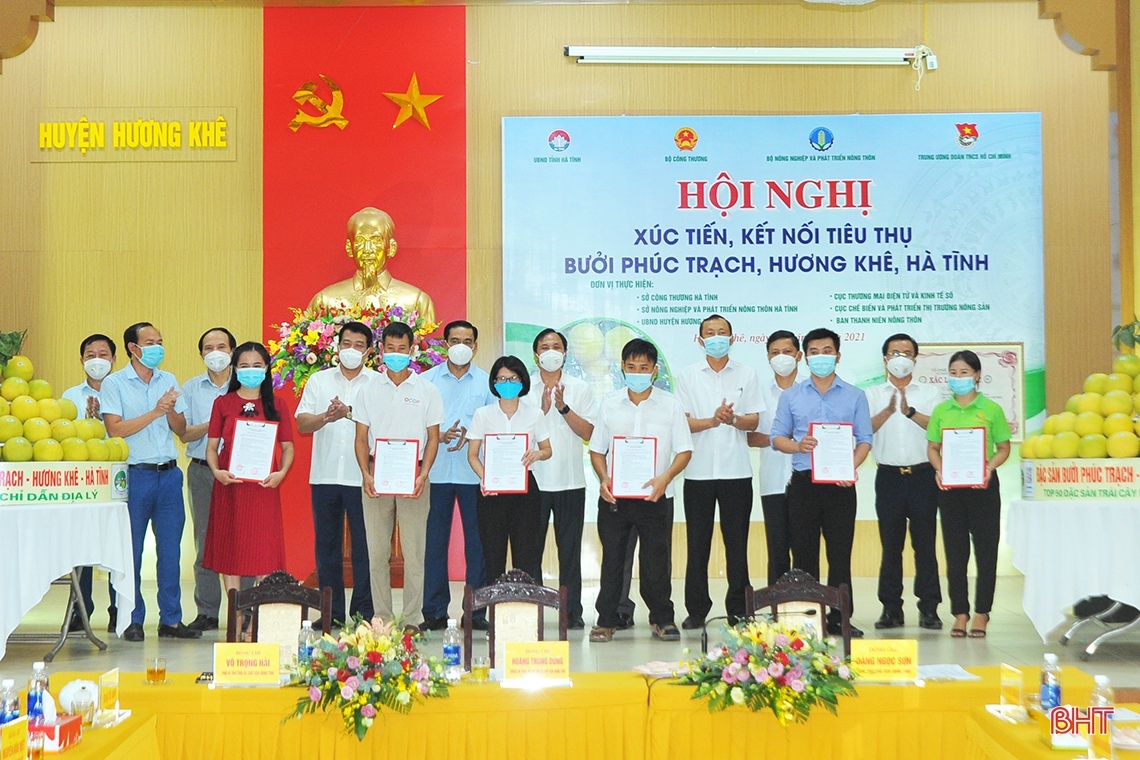 Hà Tĩnh tổ chức hội nghị xúc tiến tiêu thụ bưởi Phúc Trạch, kết nối trực tuyến hơn 300 điểm cầu