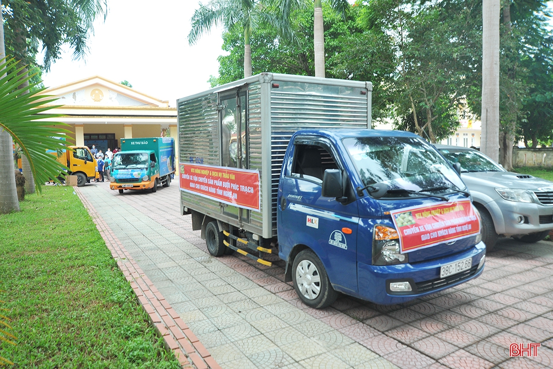 Hà Tĩnh tổ chức hội nghị xúc tiến tiêu thụ bưởi Phúc Trạch, kết nối trực tuyến hơn 300 điểm cầu