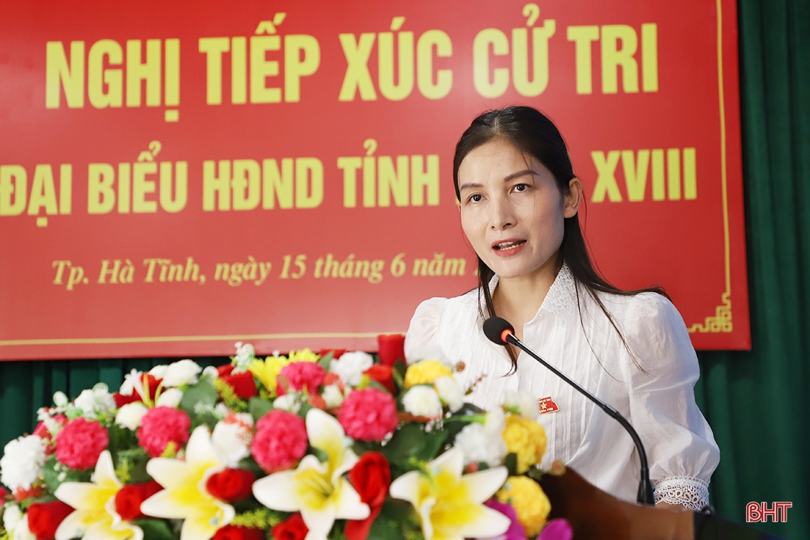 Cử tri kiến nghị nhiều nội dung vì sự phát triển của TP Hà Tĩnh