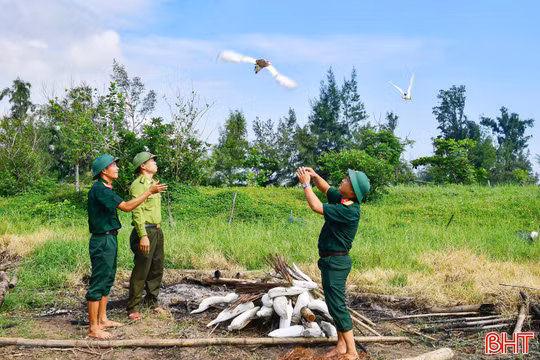 Siết chặt quản lý, quyết tâm ngăn chặn tình trạng săn bắt chim trời 