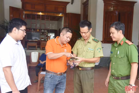 Nâng cao ý thức, chung sức bảo vệ động vật hoang dã