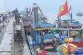 Hà Tĩnh với chặng nước rút góp phần gỡ thẻ vàng IUU