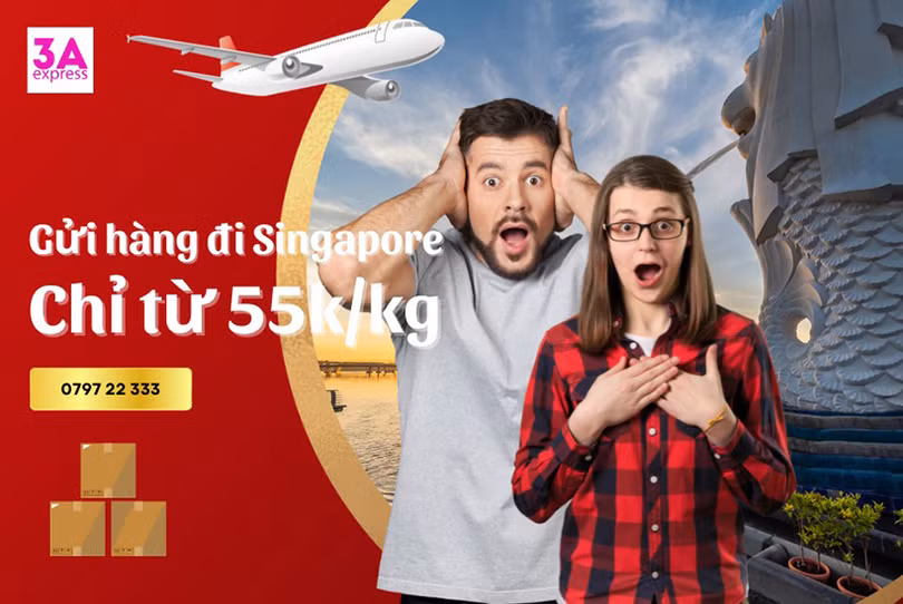Dịch vụ gửi hàng đi Singapore nhanh chóng nhận hàng sau 24h