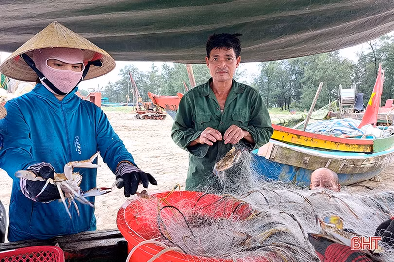 Ngư dân Xuân Yên vui mừng trúng ghẹ sau ngày biển động