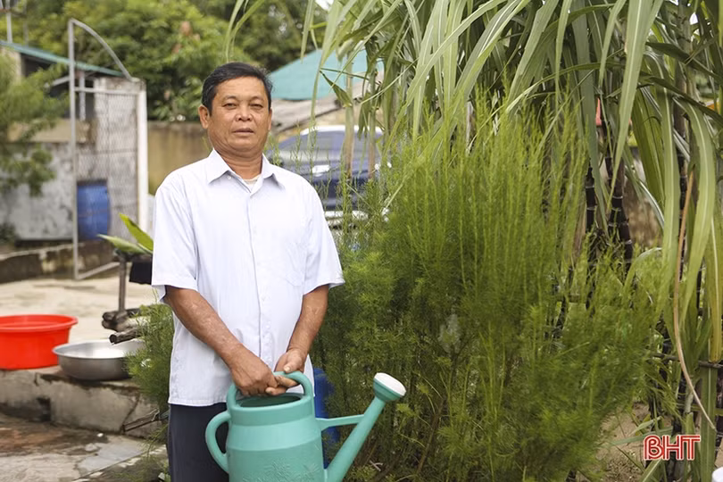 Nhiều “cao thủ” ở làng quê ven biển Hà Tĩnh bỏ nghề đánh bắt chim trời