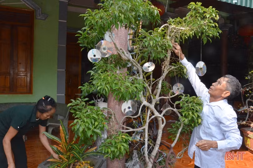 Ngỡ ngàng với khu vườn nghệ thuật của “nghệ nhân” nông dân Hà Tĩnh