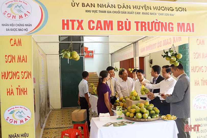 Trao văn bằng bảo hộ nhãn hiệu chứng nhận “Cam Sơn Mai”