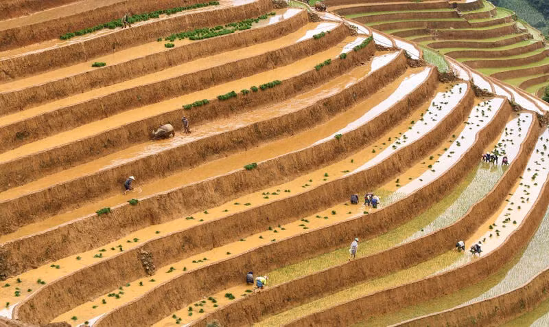 4 hình chụp Việt Nam vào top ảnh đẹp nhất thế giới
