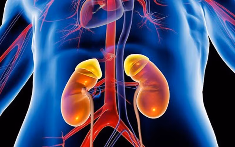 10 trường hợp không nên uống sữa