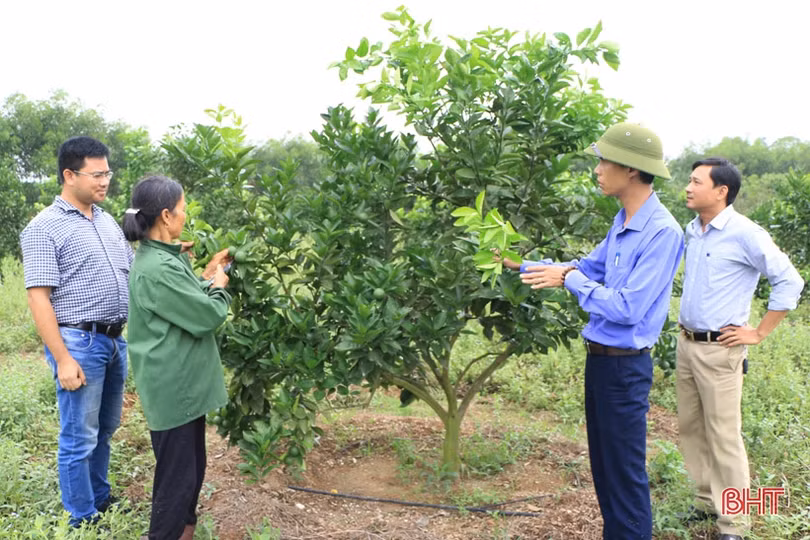 Thị trường phân bón Hà Tĩnh: “Bắt tay” thương hiệu lớn, kiểm soát chặt đầu vào