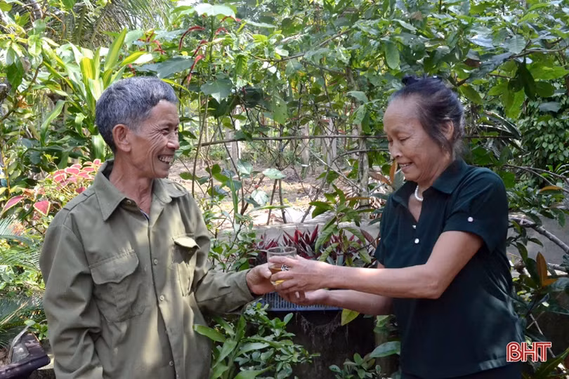 Ngỡ ngàng với khu vườn nghệ thuật của “nghệ nhân” nông dân Hà Tĩnh