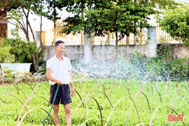 Giữ màu xanh trên những cánh đồng rau vụ đông