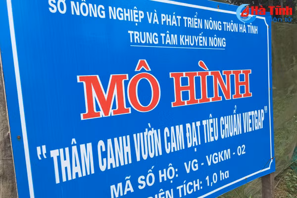 vua cam mach nuoc nguoi tieu dung chon dung cam khe may