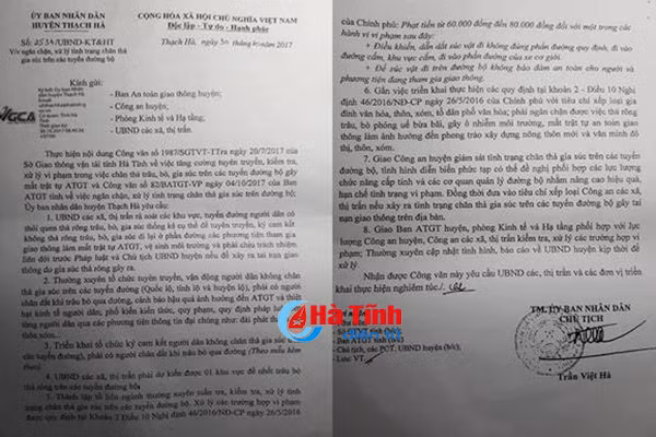 ha tinh kien quyet xu ly nan tha rong trau bo tren quoc lo