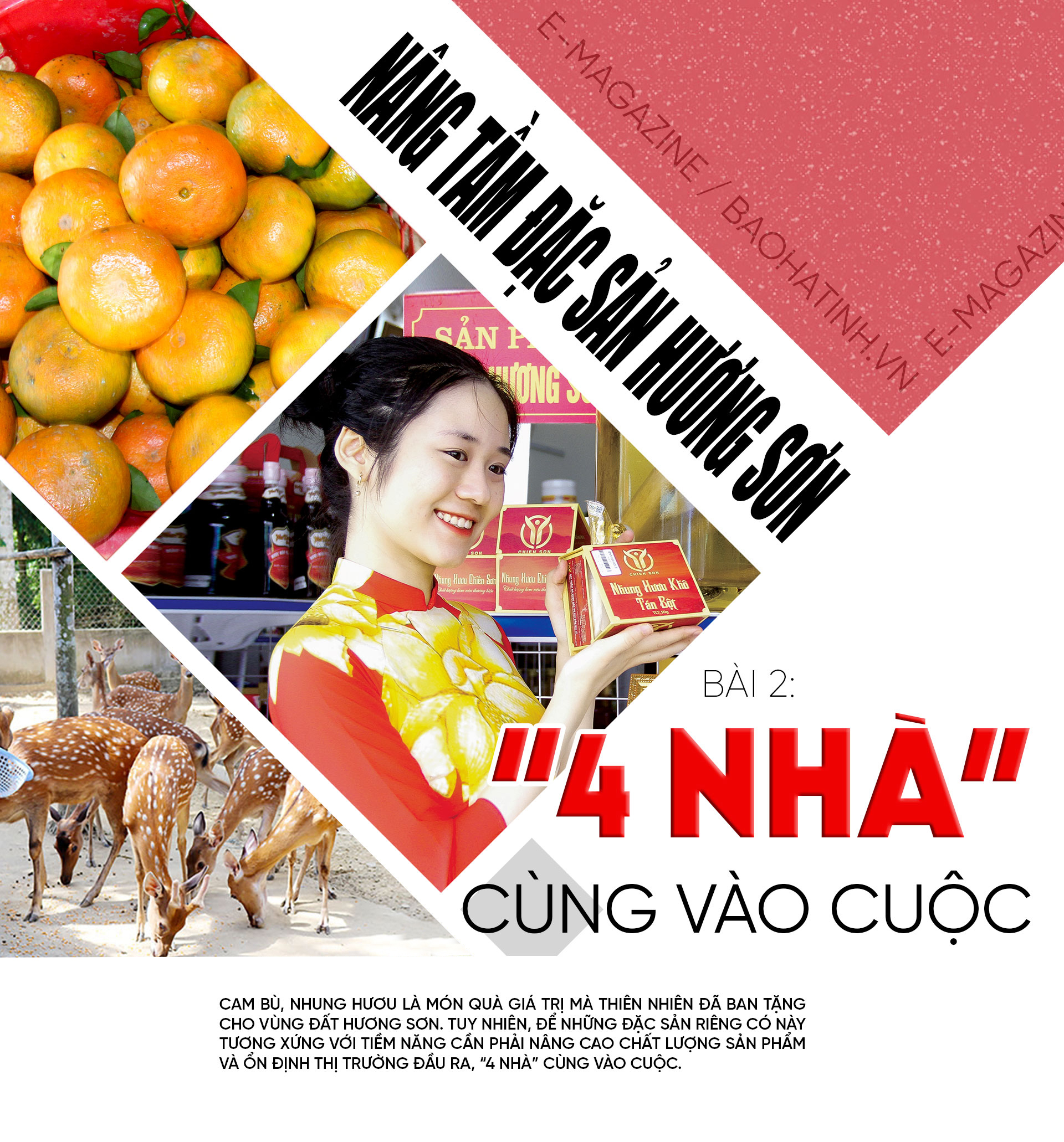 Nâng tầm cam bù, nhung hươu Hà Tĩnh - cần “4 nhà” vào cuộc