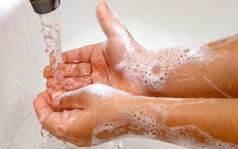 7 cách chế biến thực phẩm giúp ngừa ngộ độc