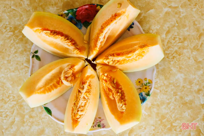 Dưa kim hoàng hậu ở Hà Tĩnh “đắt khách” dịp rằm tháng 7