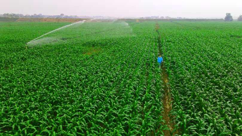 Vinamilk thuộc top 50 doanh nghiệp phát triển bền vững tiêu biểu năm 2022