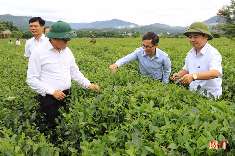 Hội nghị giao ban hai huyện Hương Sơn và Khăm Cợt