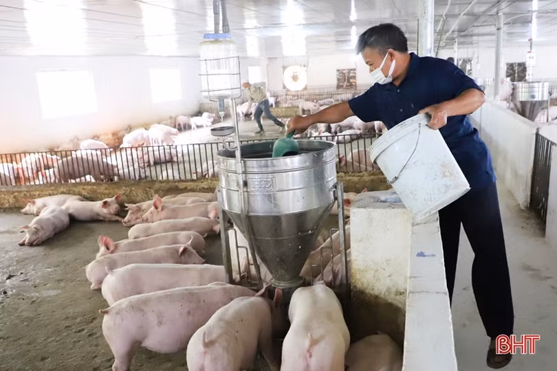 Dư nợ của Agribank Hà Tĩnh II tăng trưởng khá