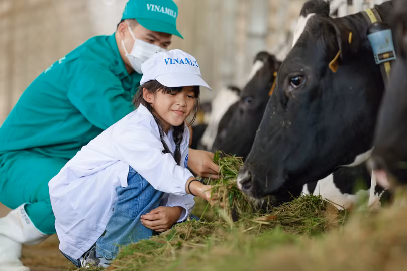 Vinamilk thuộc top 50 doanh nghiệp phát triển bền vững tiêu biểu năm 2022