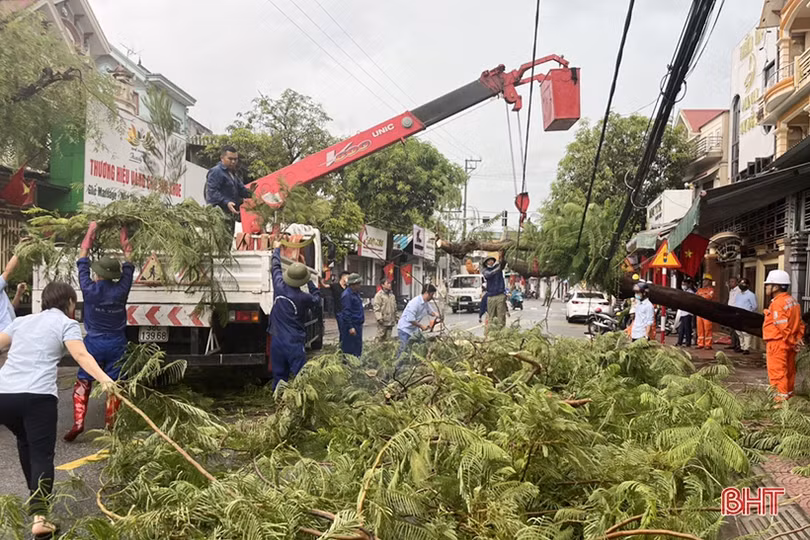 TP Hà Tĩnh “khám sức khỏe” cây xanh trước mùa mưa bão