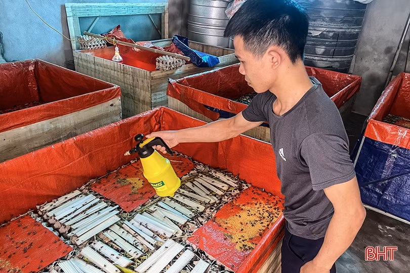 Nông dân Hà Tĩnh “thử sức” với nhiều loại vật nuôi giá trị kinh tế cao