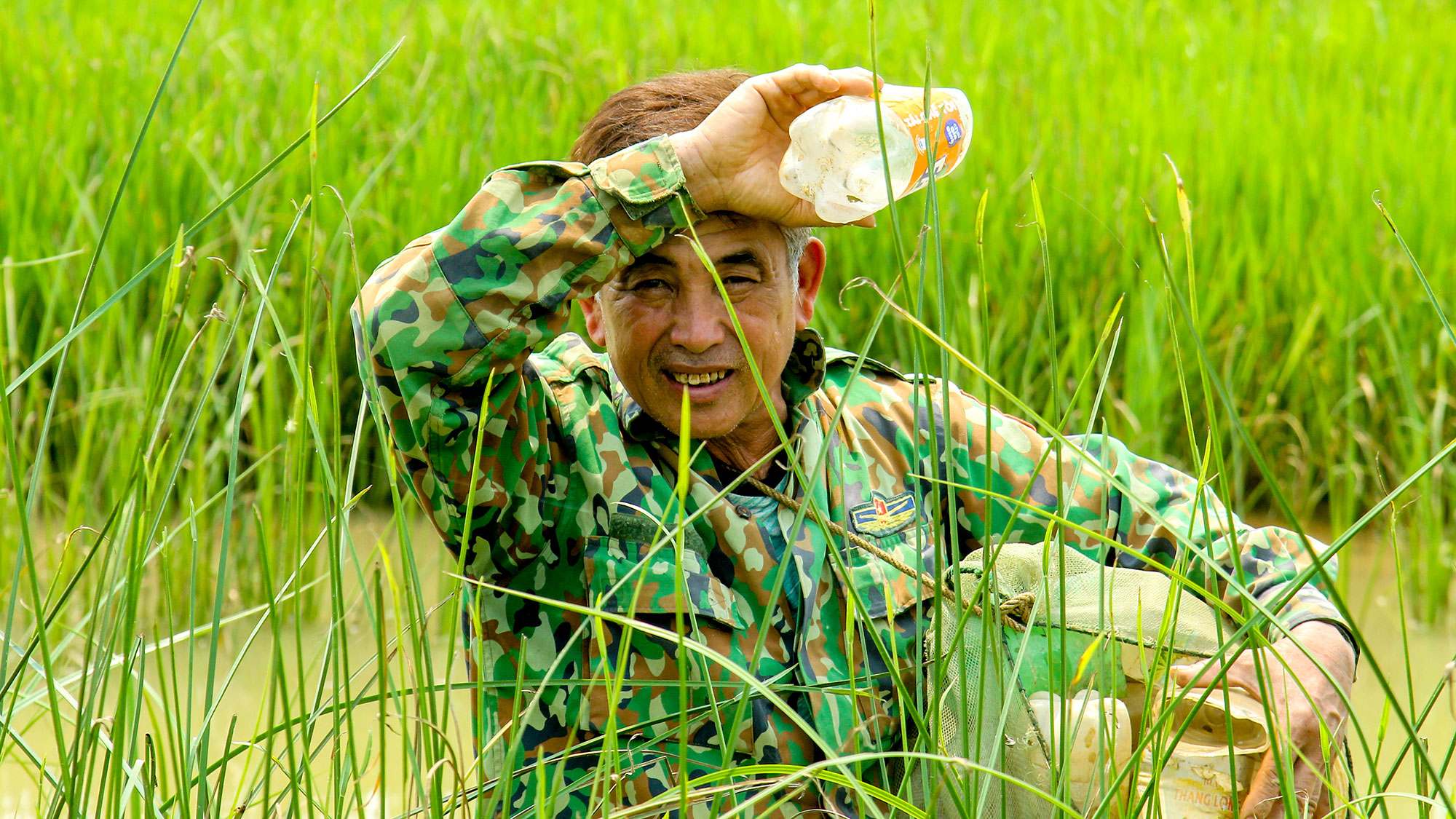 cover-pc-lai.jpg