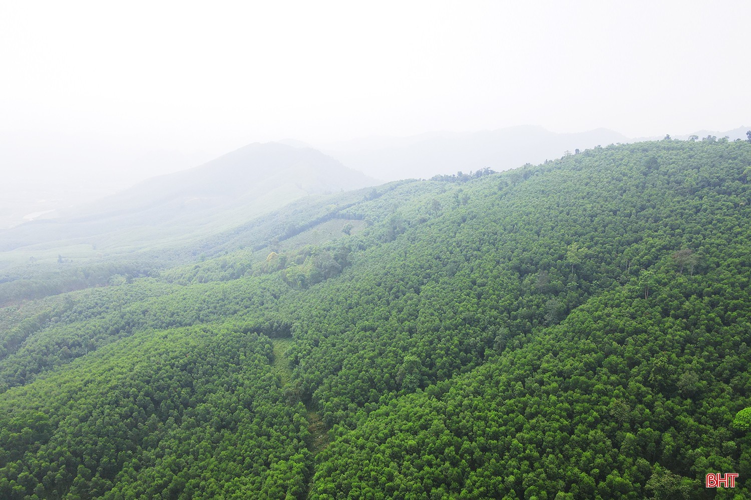 dt-dji-0091.jpg