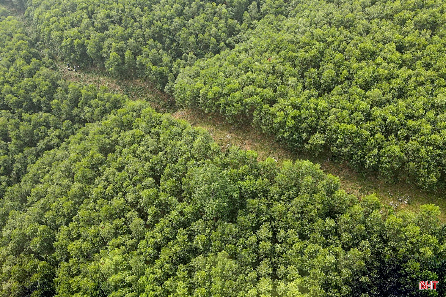 bqbht_br_dt-dji-0073.jpg