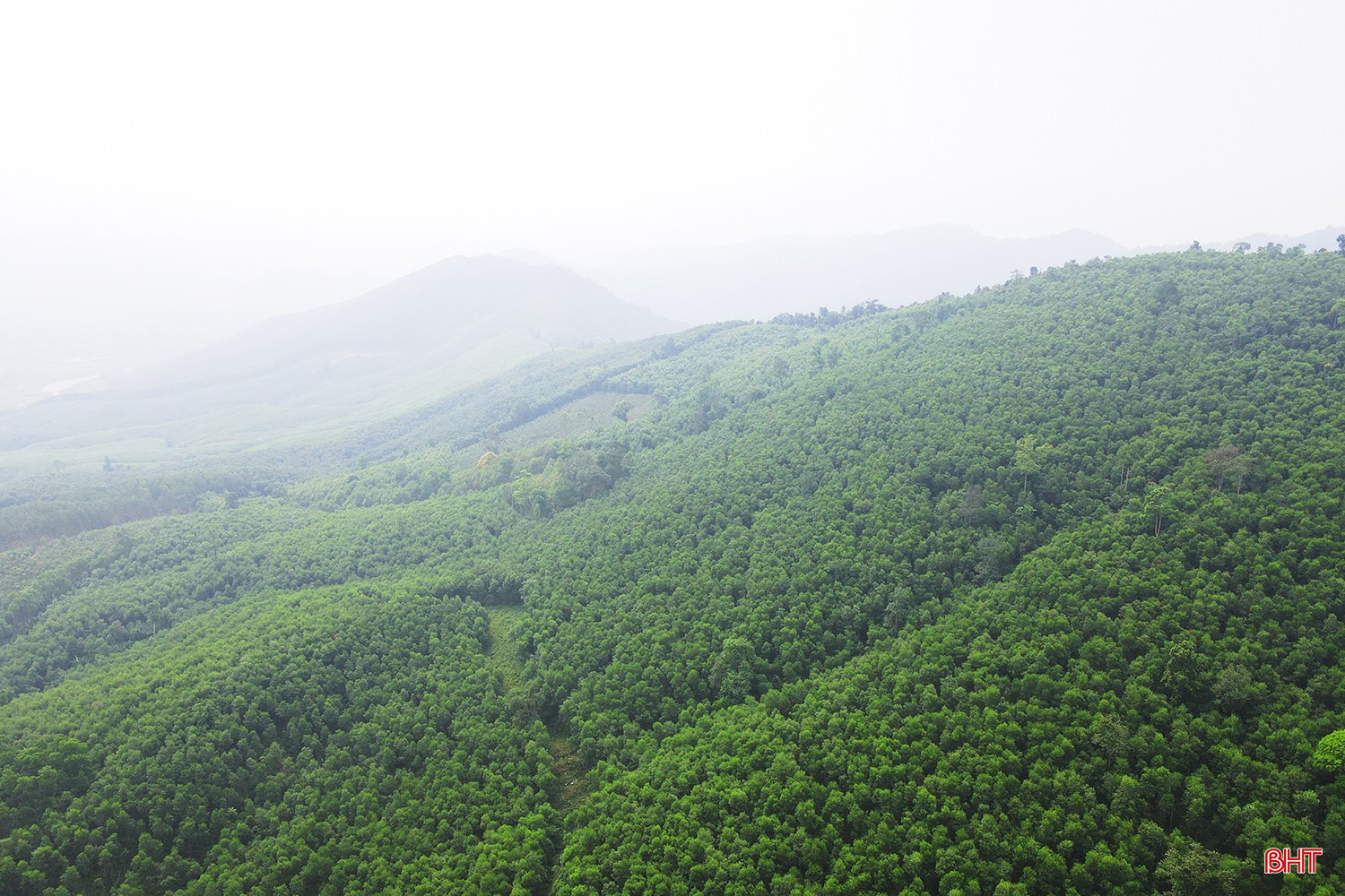 bqbht_br_dt-dji-0091.jpg