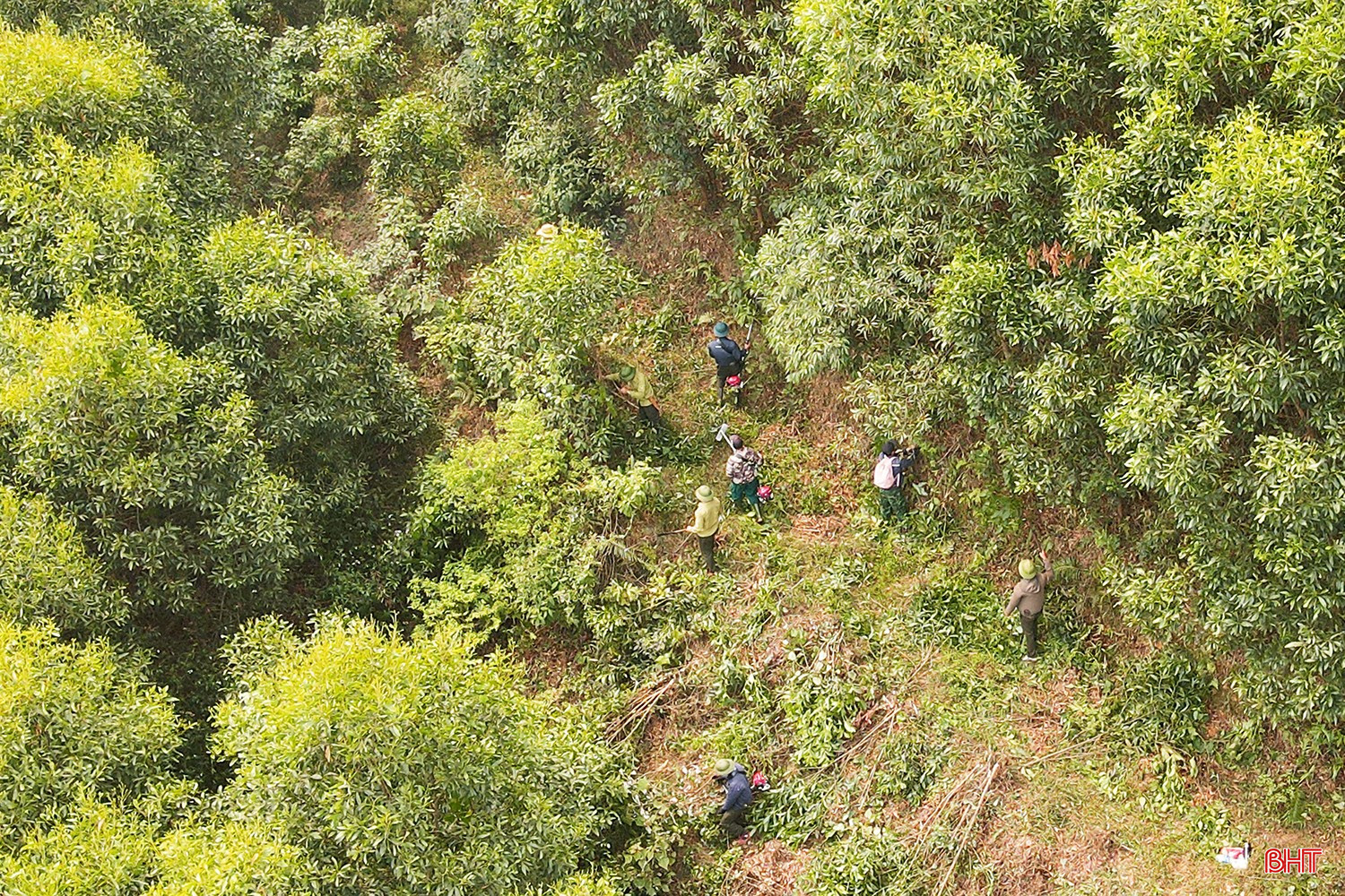 bqbht_br_dt-dji-0076.jpg