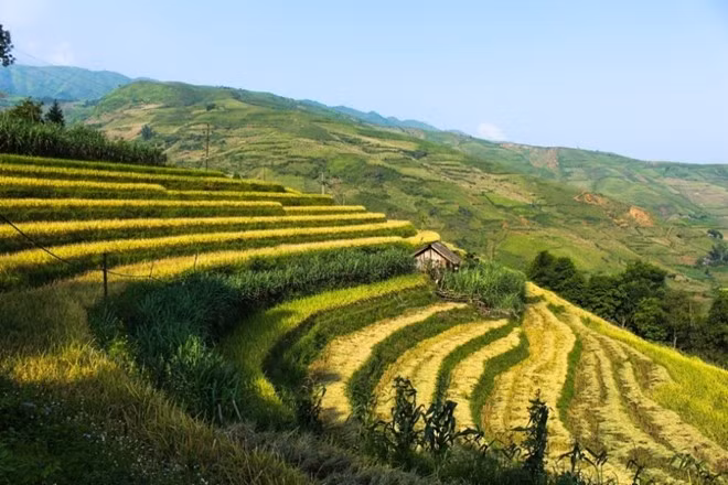 loat anh mua thu vung cao o viet nam