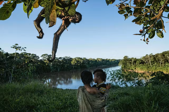 nhung buc anh an tuong nhat 2016 do national geographic binh chon