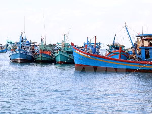 hai quan malaysia bat mot tau ca cung 12 ngu dan viet nam
