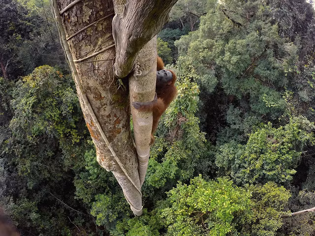 nhung buc anh an tuong nhat 2016 do national geographic binh chon