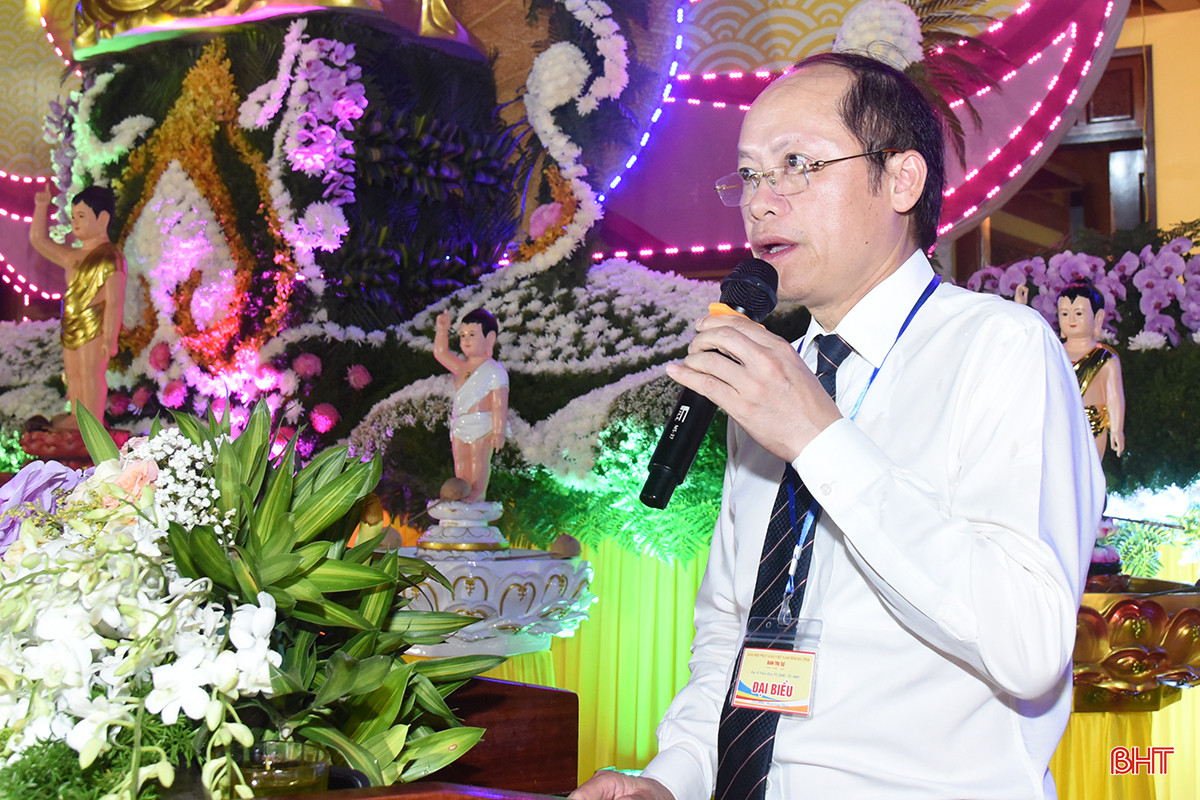 DSCa_5428 copy.jpg