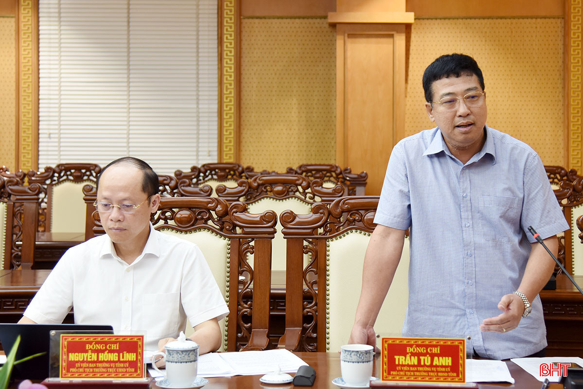 DSsC_6781.jpg