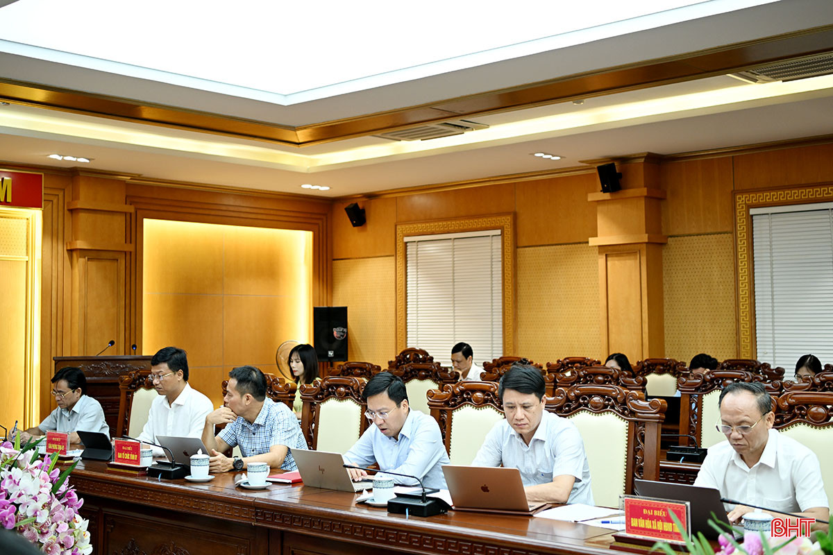 DSsC_4625.jpg