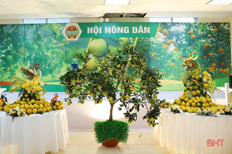 Cam Hà Tĩnh “biến hóa” đẹp mắt tại hội nghị quảng bá thương hiệu