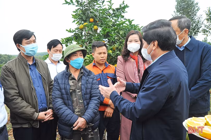 Nâng cao công tác quản lý, thực hiện số hóa cây đầu dòng, bảo vệ giống cam ở Hà Tĩnh