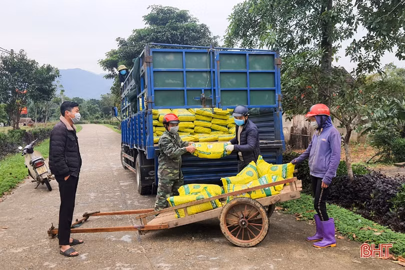 “Rã đông” nông sản sau bão dịch ở Kỳ Thượng