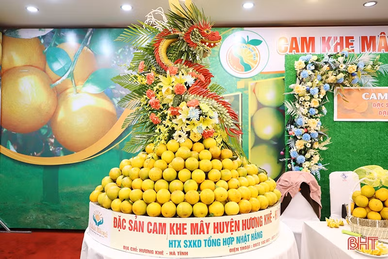 Cam Hà Tĩnh “biến hóa” đẹp mắt tại hội nghị quảng bá thương hiệu