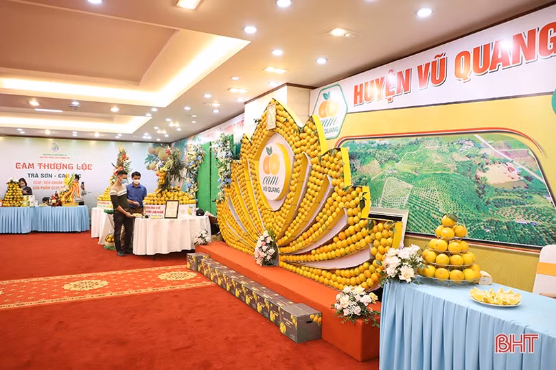 Cam Hà Tĩnh “biến hóa” đẹp mắt tại hội nghị quảng bá thương hiệu