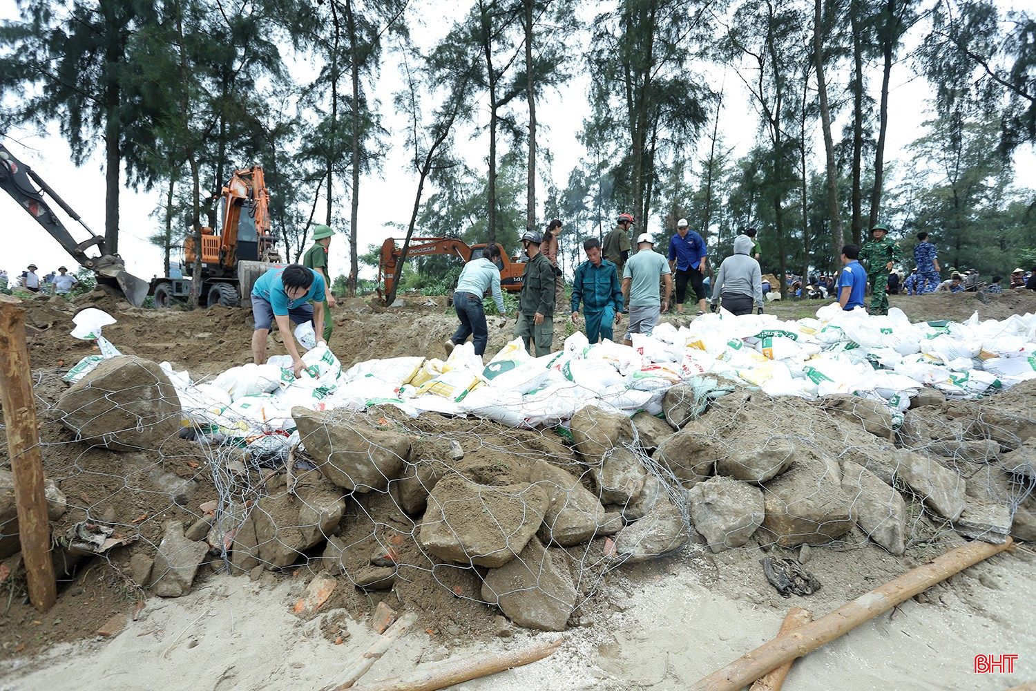bqbht_br_de-hoi-thong-5av.jpg