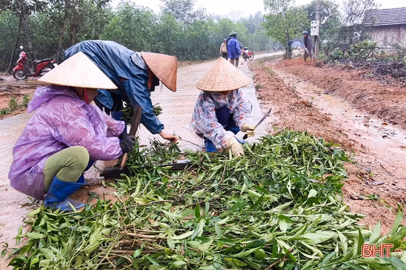 Người dân xã miền núi Hà Tĩnh đội mưa phủ kín hàng rào xanh