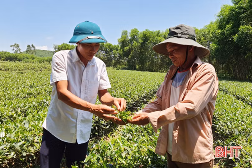 Hà Tĩnh xem xét thay thế Nghị quyết 156 về mức bồi dưỡng đối với người trực tiếp tham gia công việc của thôn, tổ dân phố