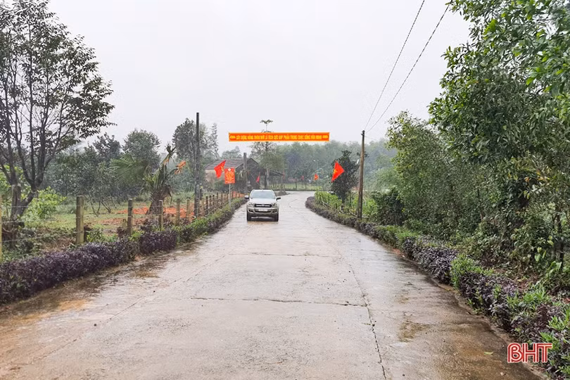 Người dân xã miền núi Hà Tĩnh đội mưa phủ kín hàng rào xanh